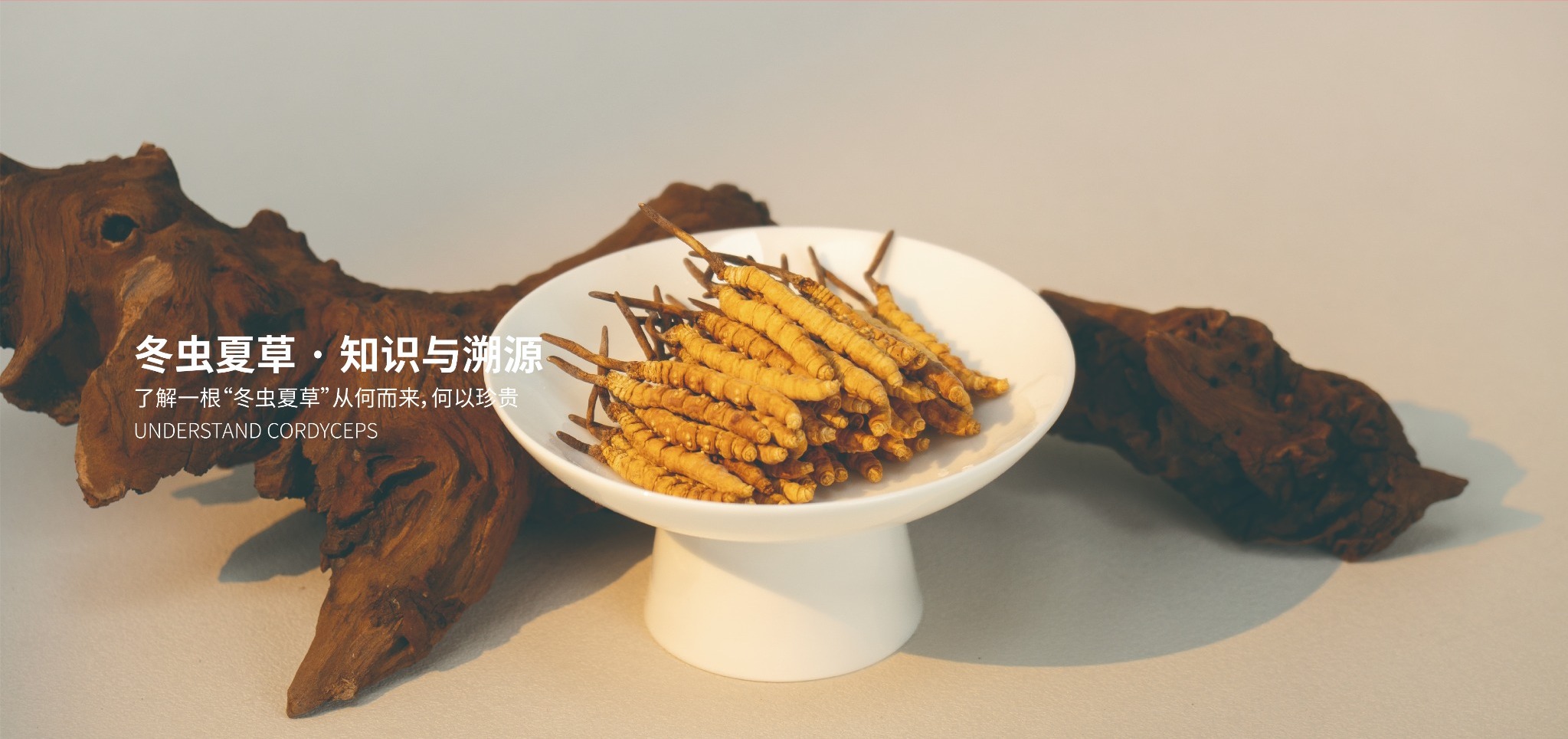 冬虫夏草知识与溯源