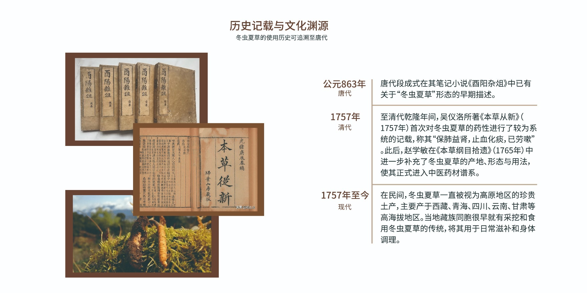 历史记载与文化渊源