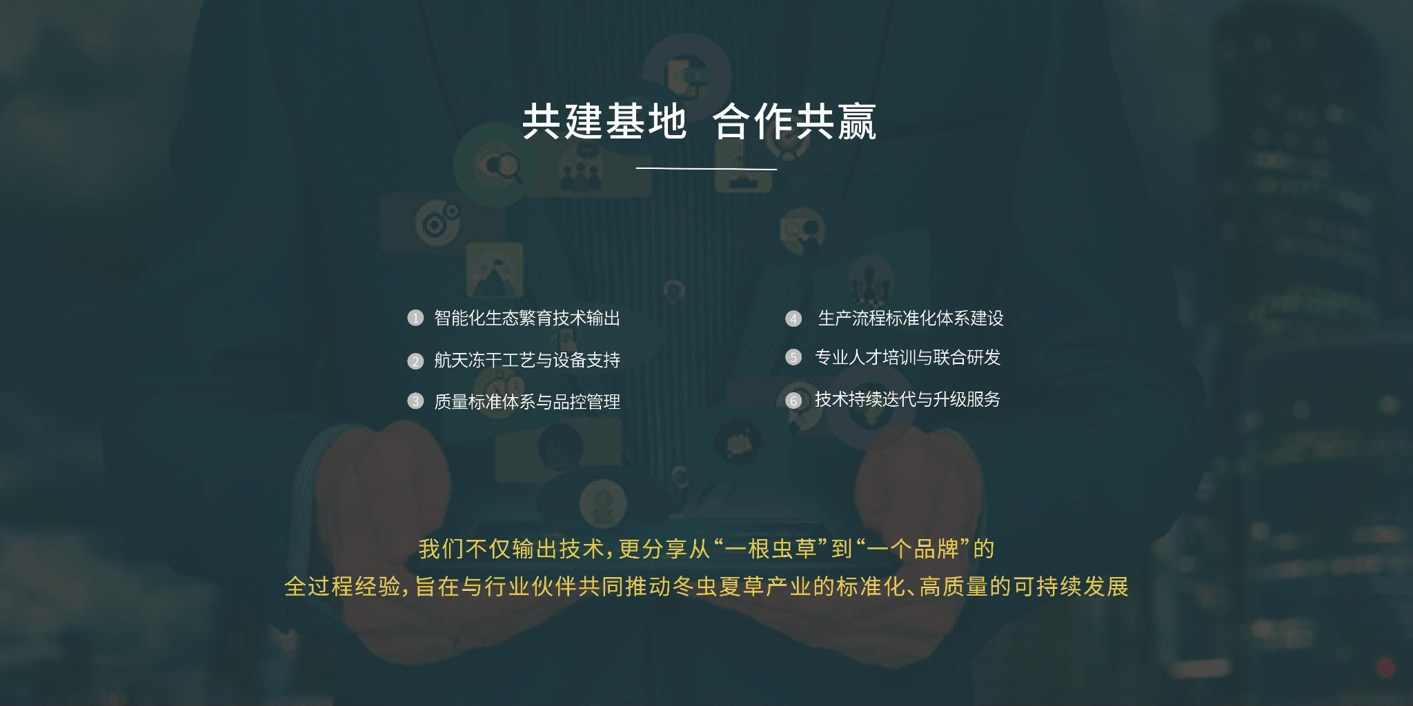 共建基地合作共赢