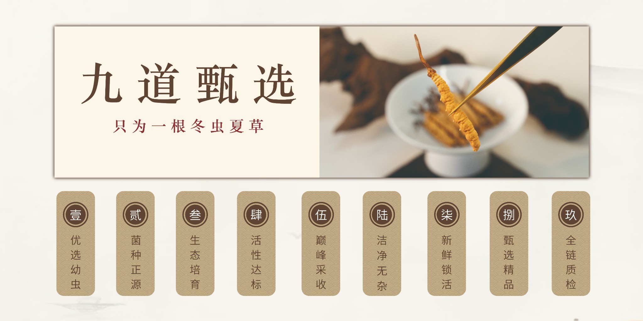九道甄选，只为一根冬虫夏草