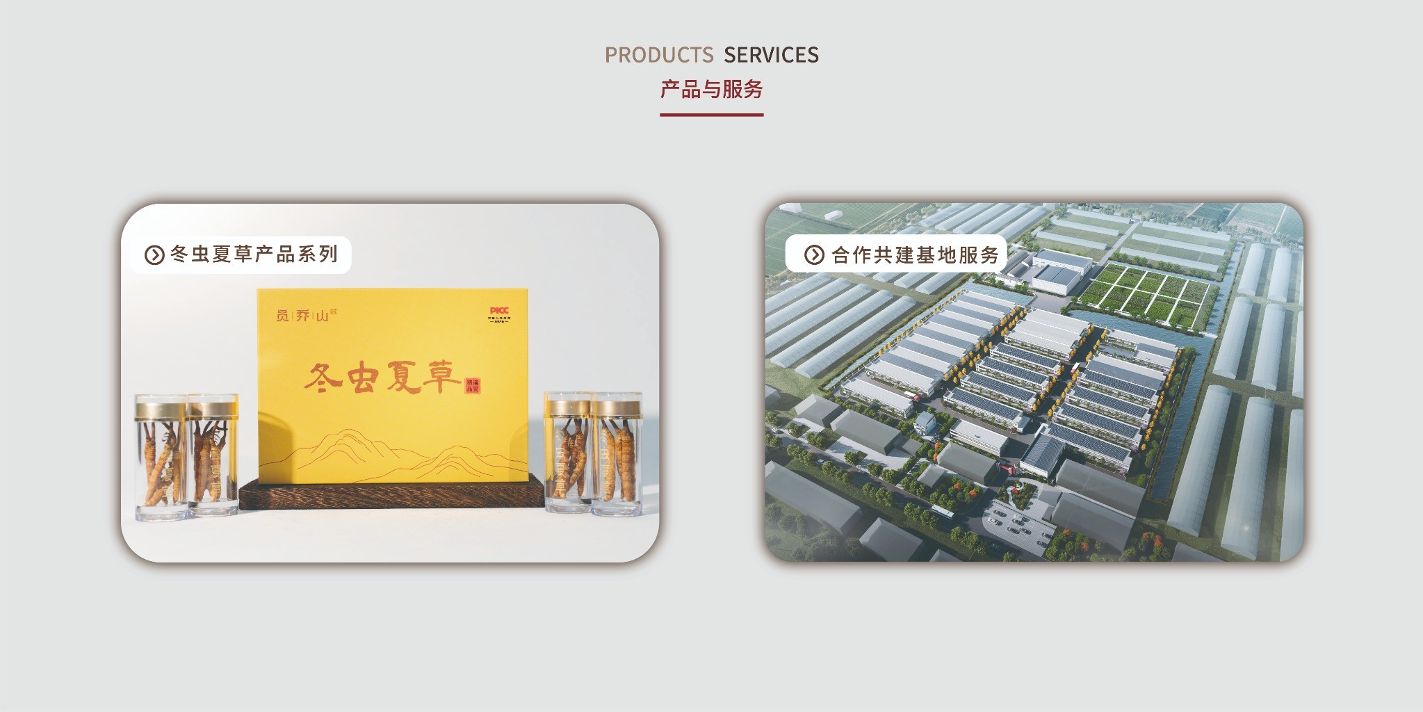 冬虫夏草产品系列与合作共建基地服务